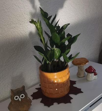 Ruhige Sout. Whg. Feldrandnaehe Apartamento Seligenstadt Exterior foto