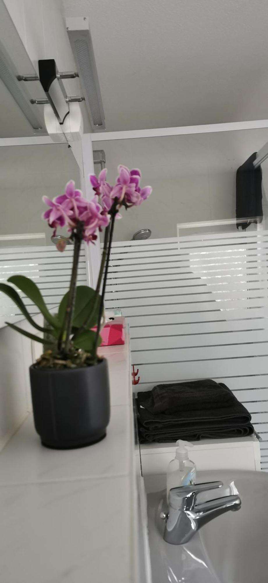 Ruhige Sout. Whg. Feldrandnaehe Apartamento Seligenstadt Exterior foto
